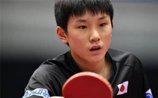 中可以看出 中可以看出