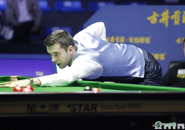 格子小蜘蛛 格子小蜘蛛