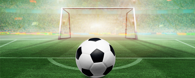 山东男篮有 山东男篮有