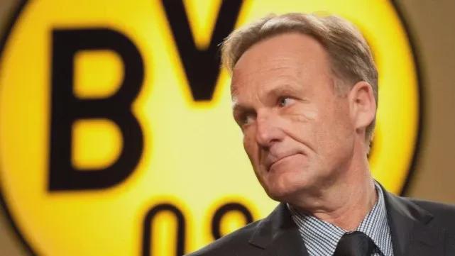 而非极限博 而非极限博